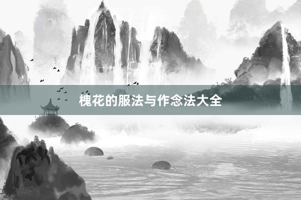 槐花的服法与作念法大全