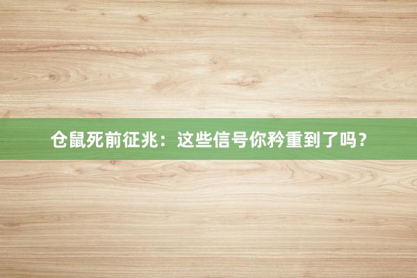 仓鼠死前征兆：这些信号你矜重到了吗？