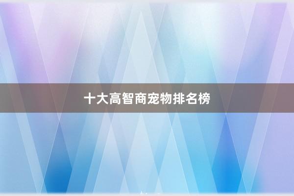 十大高智商宠物排名榜