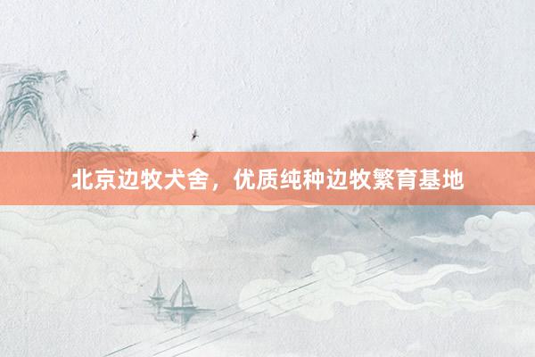 北京边牧犬舍，优质纯种边牧繁育基地