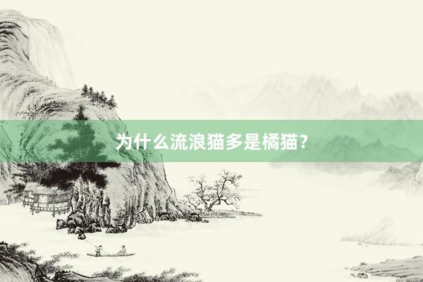 为什么流浪猫多是橘猫？