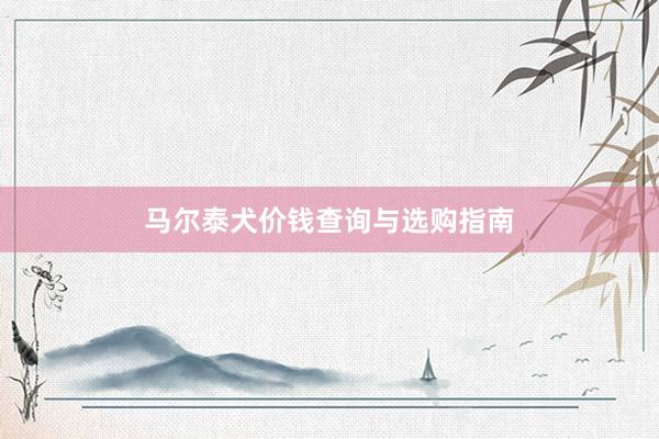 马尔泰犬价钱查询与选购指南