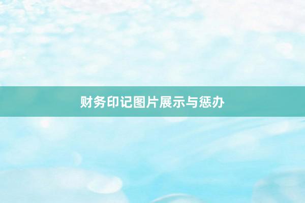 财务印记图片展示与惩办